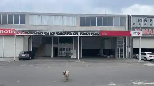 Aras Kargo Diyorsan KAYAPINAR Şubesi