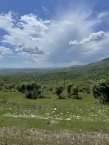 Kozluk