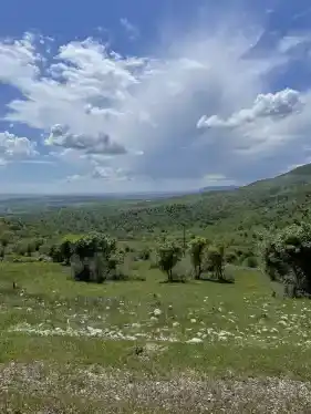 Kozluk