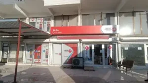Aras Kargo ARTUKLU Şubesi
