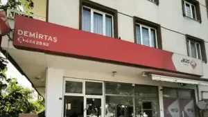 Aras Kargo OSMANGAZİ̇ Demirtaş Şubesi