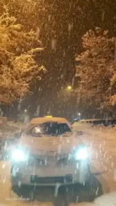 Bitlis Taksi Durağı 🚕 BİTLİS Şubesi