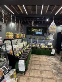 Düzce Lojistik DÜZCE Şubesi