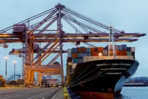 Fedex Trade Networks Uluslararasi Nakliyat Tic Ltd Sti KONAK Şubesi