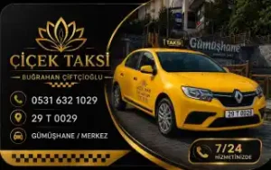 Gümüşhane Taksi 29 T 029 KARADENİZ Şubesi