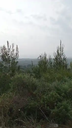Kahve SAMANDAĞ Şubesi
