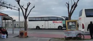 Lüks Yalova Seyahat YALOVA Şubesi