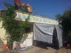 Merzifon Horoz Aktarma MERZİFON Şubesi