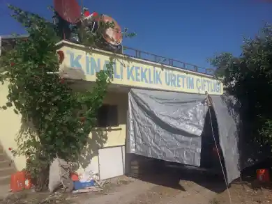 Merzifon Horoz Aktarma MERZİFON Şubesi
