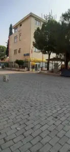 Ptt-çine ÇİNE Şubesi