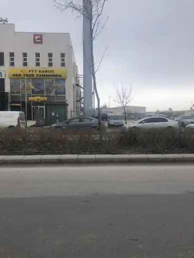 Ptt Organize Sanayi ODUNPAZARI Şubesi