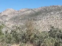 Ptt-şırnak ŞIRNAK Şubesi