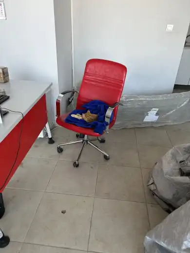 Sürat Kargo SARIÇAM Şubesi