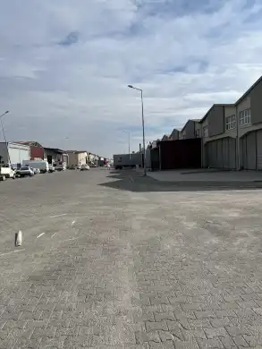 Ups Kargo EFELER Şubesi