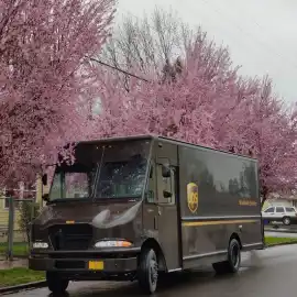 Ups Kargo HALİLİYE Şubesi