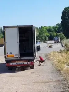 Yurtiçi Kargo ODUNPAZARI Yıl Mah. Şubesi